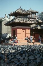 Nepal (23 von 124).jpg